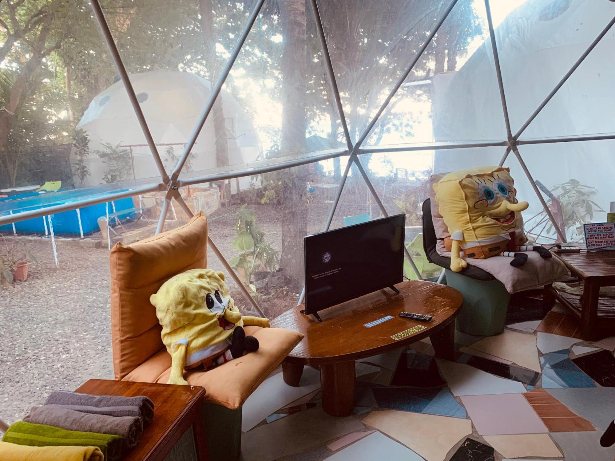 Glamping Dome Dauin Beach Resort 外观 照片