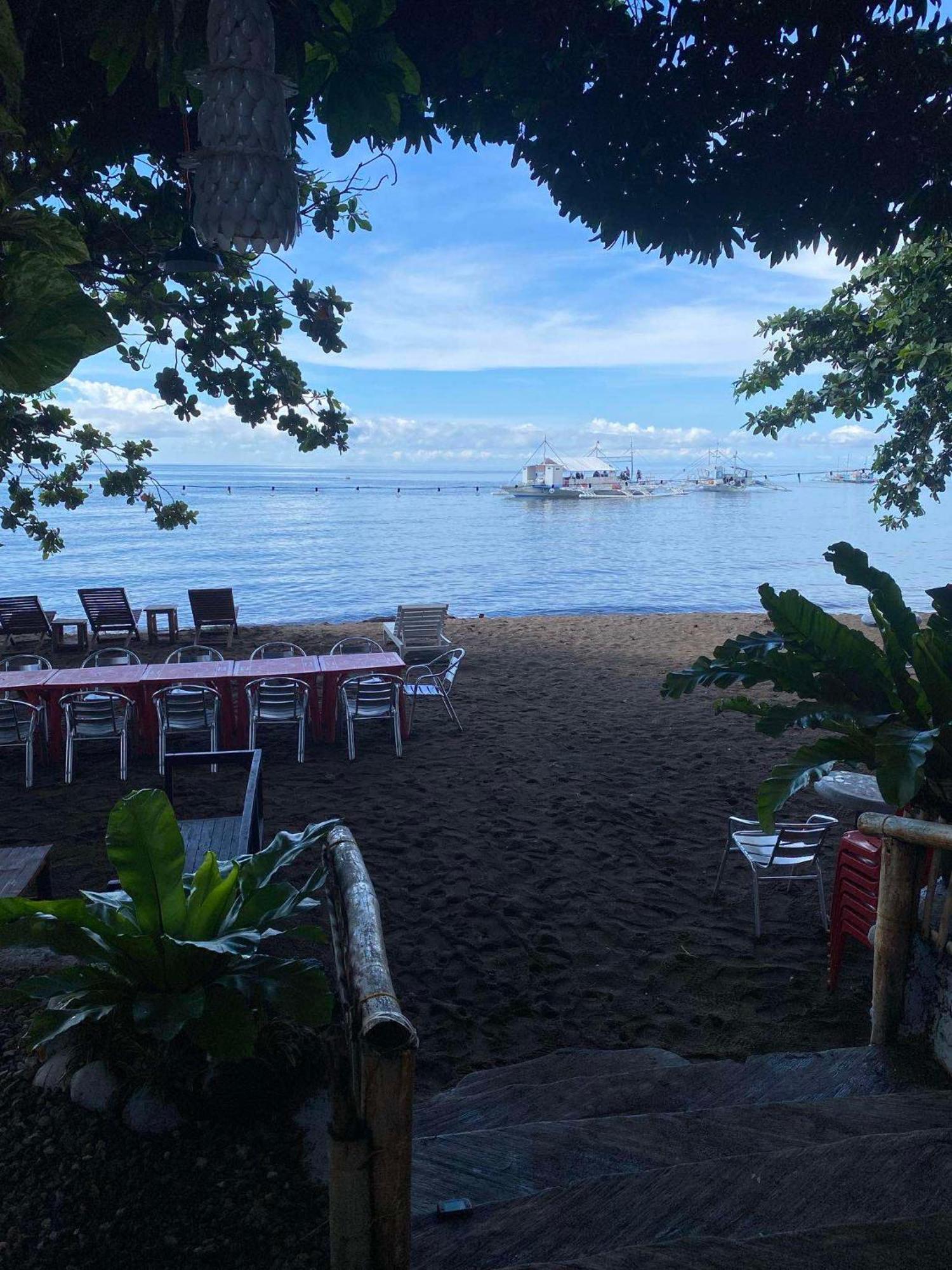 Glamping Dome Dauin Beach Resort 外观 照片